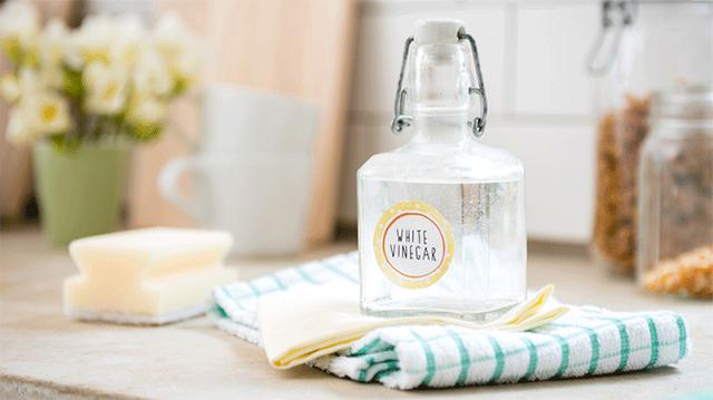 tay vet o ao so mi trang bang dam an